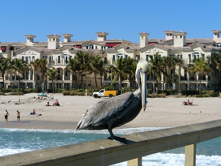 f:id:myfavorite-antiques:20170127172814j:image f:id:myfavorite-antiques:20170127172814j:image