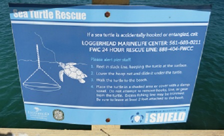 f:id:myfavorite-antiques:20170127172816j:image f:id:myfavorite-antiques:20170127172816j:image