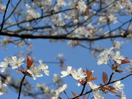 f:id:myfavorite-antiques:20170320131136j:image f:id:myfavorite-antiques:20170320131136j:image