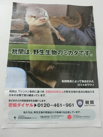 f:id:myfavorite-antiques:20170802063602j:image f:id:myfavorite-antiques:20170802063602j:image