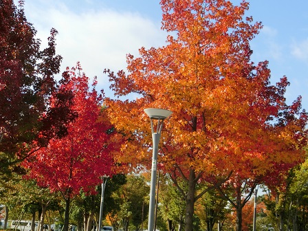 f:id:myfavorite-antiques:20171103071011j:image f:id:myfavorite-antiques:20171103071011j:image