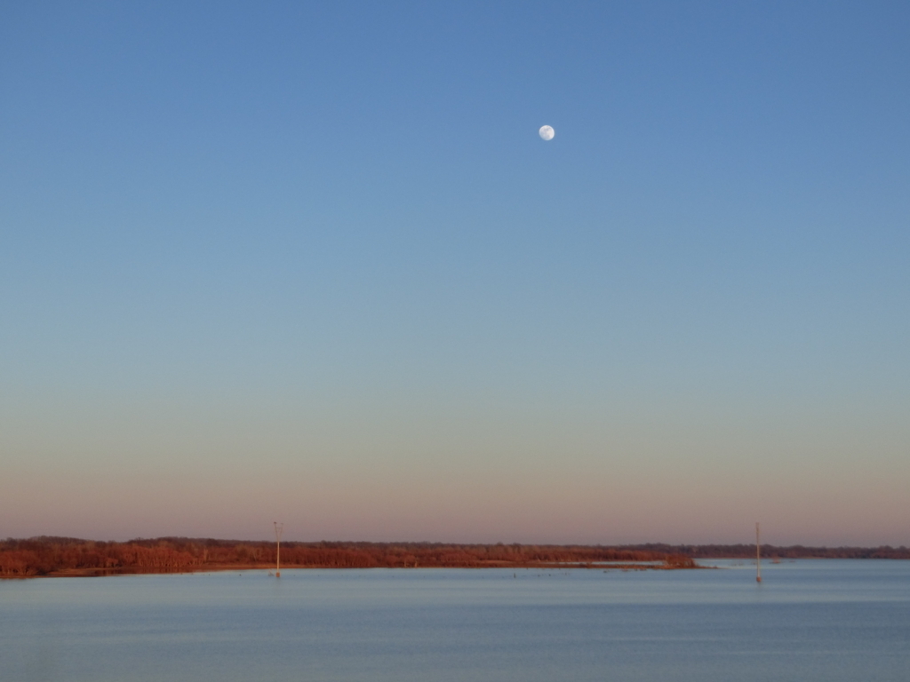 全米各地に直接買い付けに行ってます-My Favorite