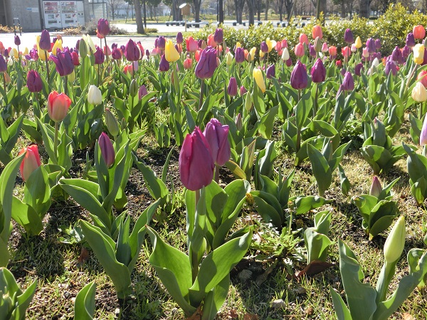 f:id:myfavorite-antiques:20180320175145j:plain f:id:myfavorite-antiques:20180320175145j:plain