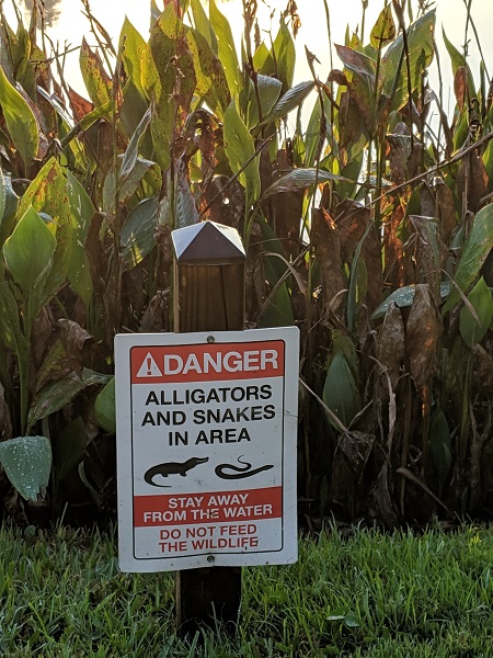 ディズニーワールドに行ったよーなっちゃんのにこにこブログ