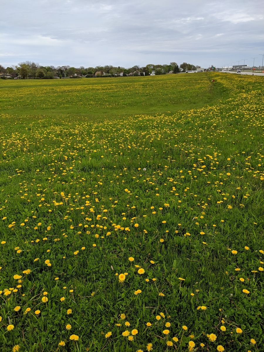 f:id:myfavorite-antiques:20190522212657j:plain