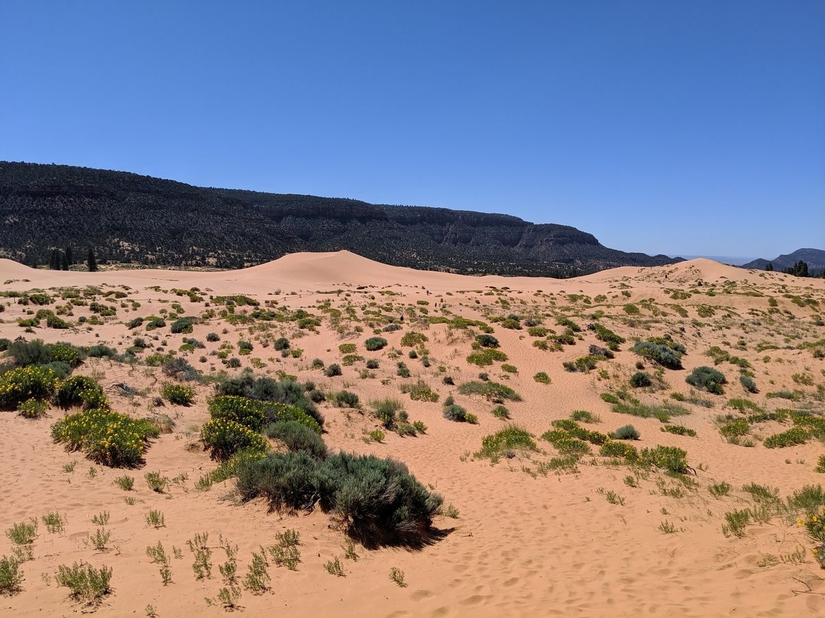 f:id:myfavorite-antiques:20190705220303j:plain