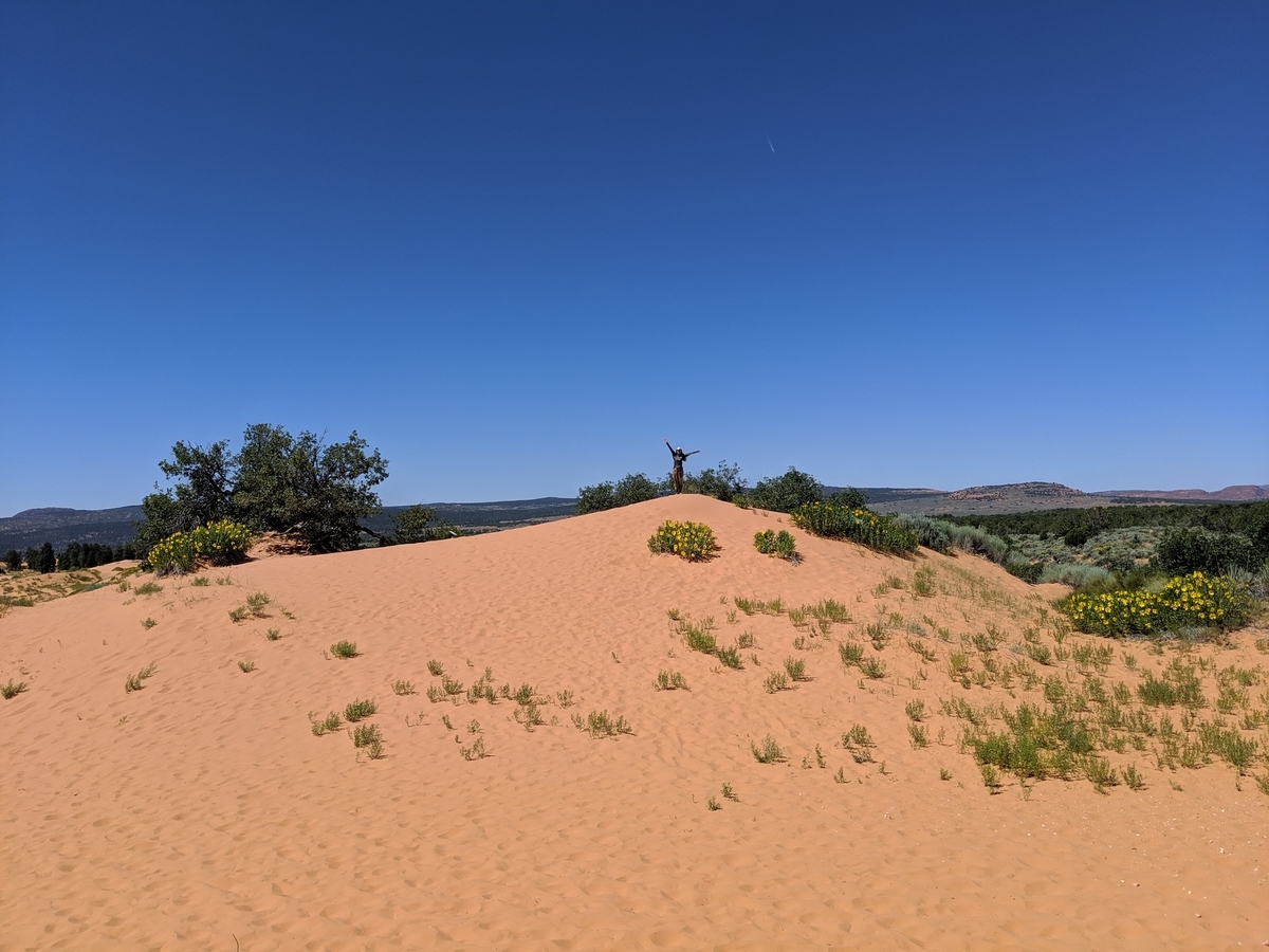 f:id:myfavorite-antiques:20190706003441j:plain