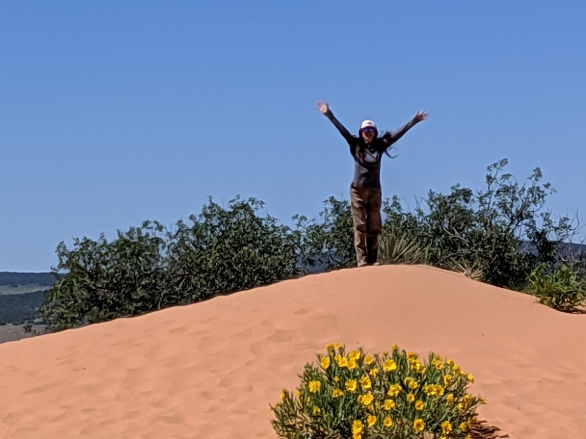 f:id:myfavorite-antiques:20190706003546j:plain