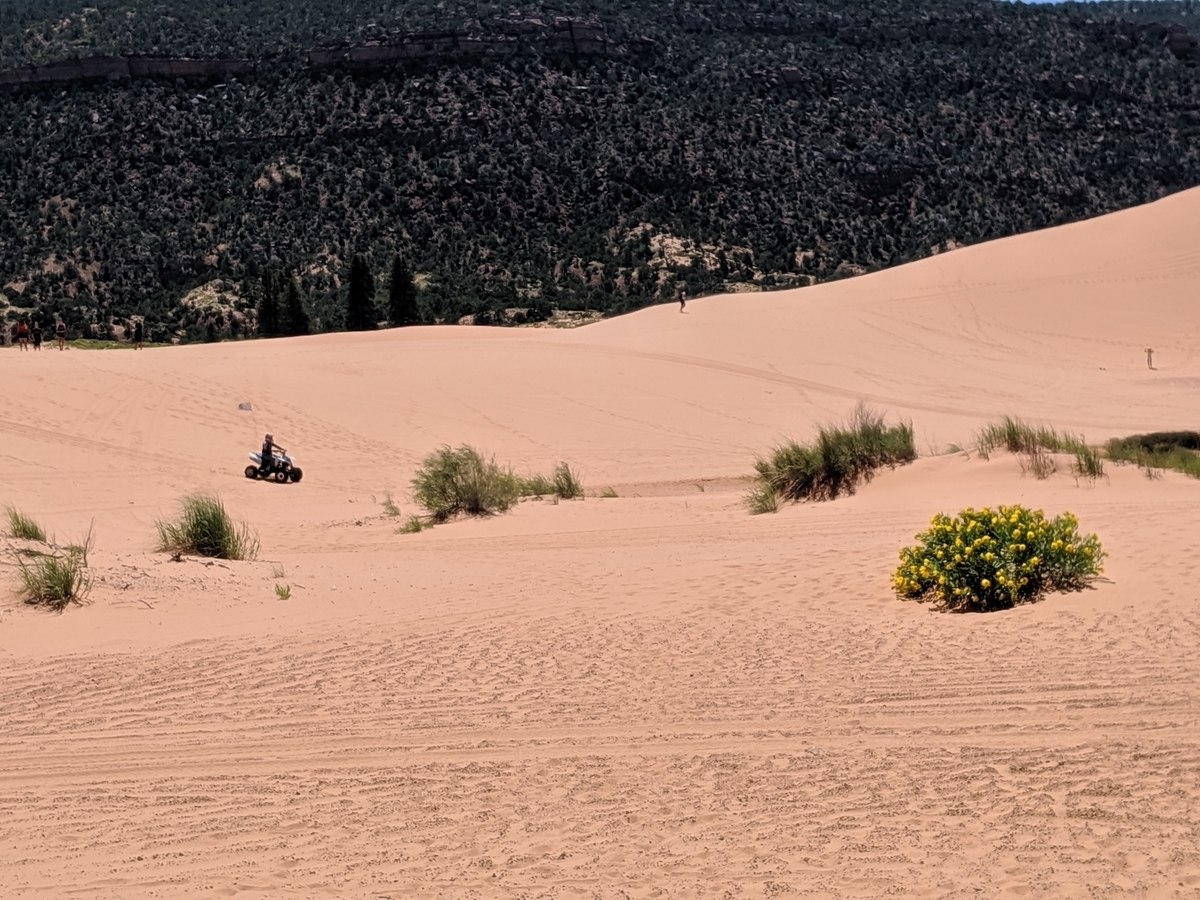 f:id:myfavorite-antiques:20190706004019j:plain