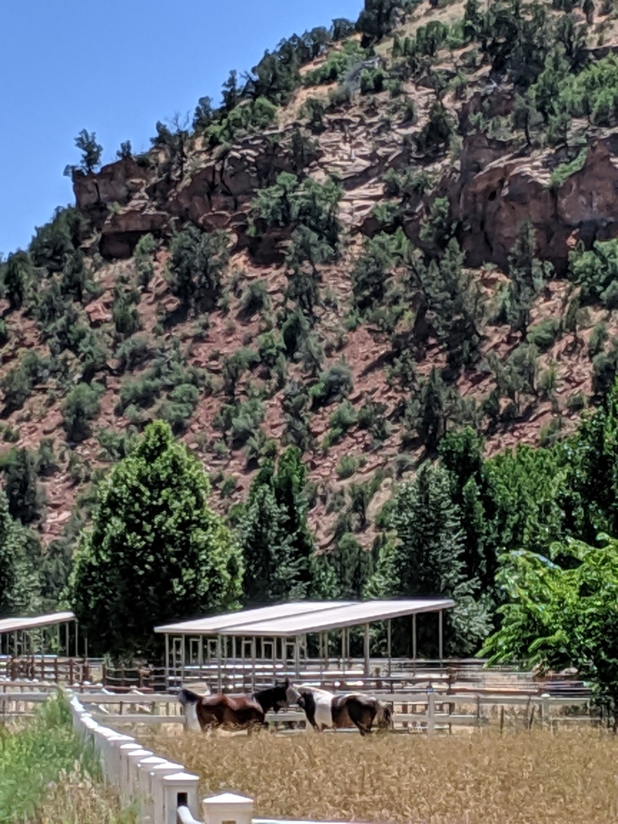f:id:myfavorite-antiques:20190711173350j:plain f:id:myfavorite-antiques:20190711173350j:plain