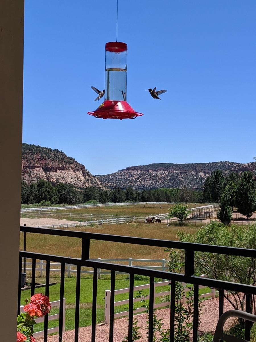f:id:myfavorite-antiques:20190711173523j:plain f:id:myfavorite-antiques:20190711173523j:plain