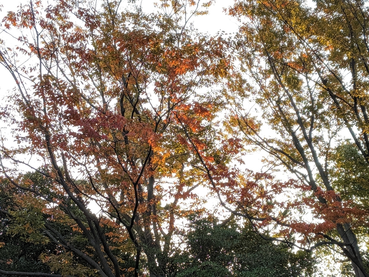 f:id:myfavorite-antiques:20191101102611j:plain f:id:myfavorite-antiques:20191101102611j:plain