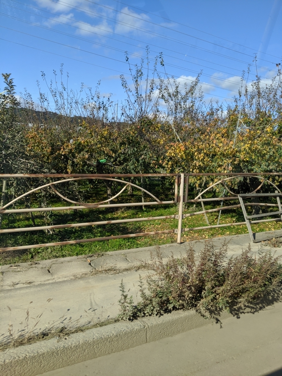 f:id:myfavorite-antiques:20191111062114j:plain