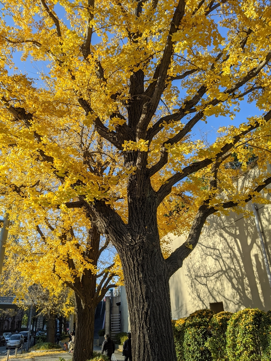 f:id:myfavorite-antiques:20191217050844j:plain