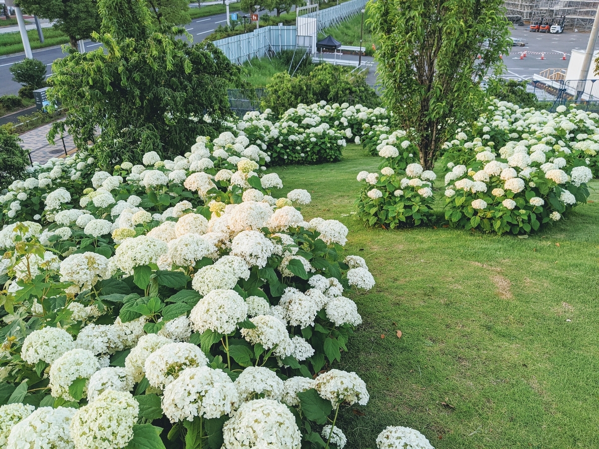 f:id:myfavorite-antiques:20200617084137j:plain