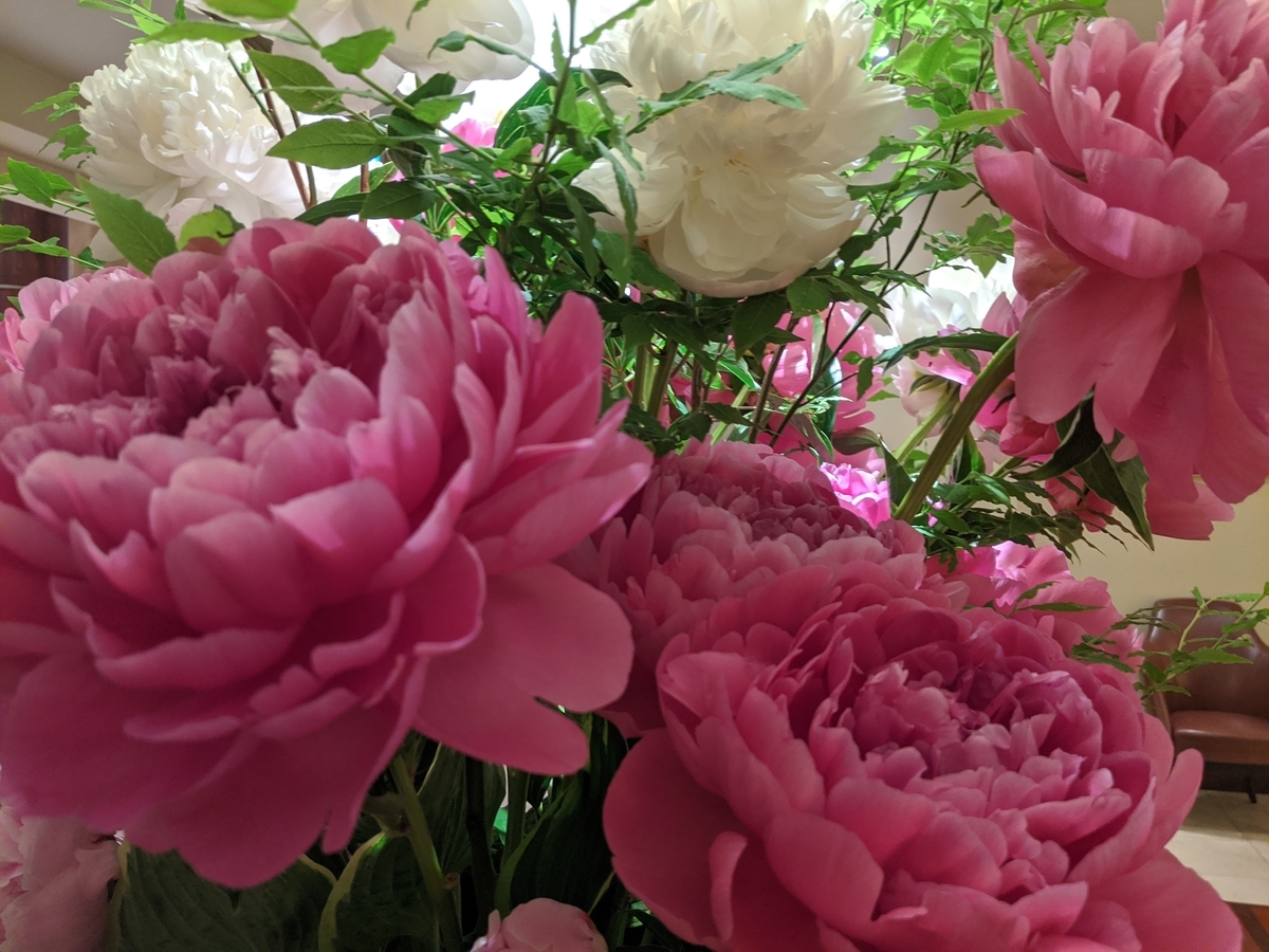 f:id:myfavorite-antiques:20200617094705j:plain