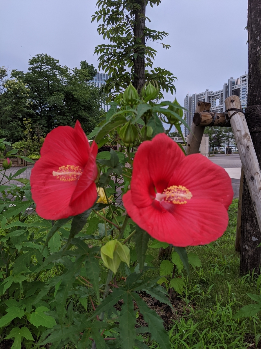 f:id:myfavorite-antiques:20200723133530j:plain