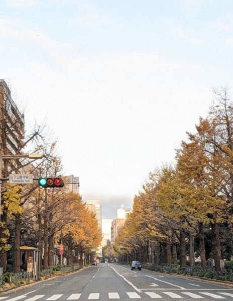 なっちゃんのにこにこブログ