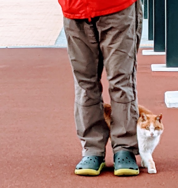 なっちゃんのにこにこブログ