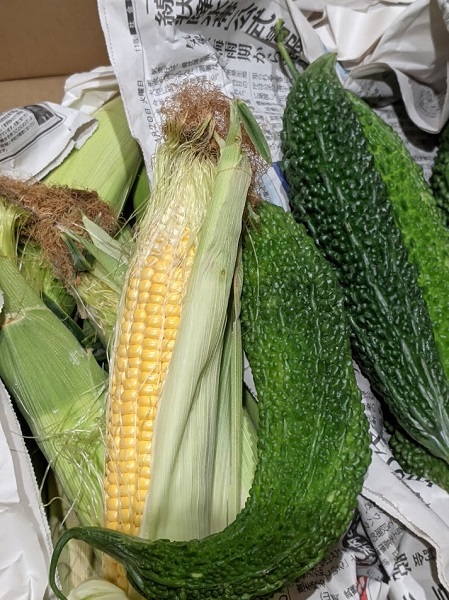 なっちゃんのにこにこブログ