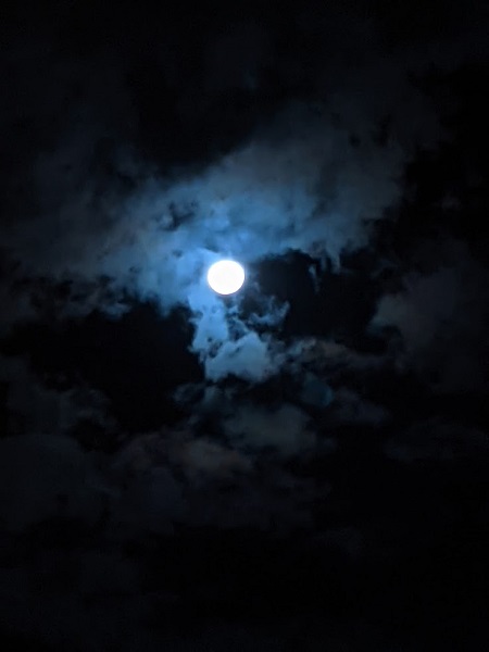 なっちゃんのにこにこブログ