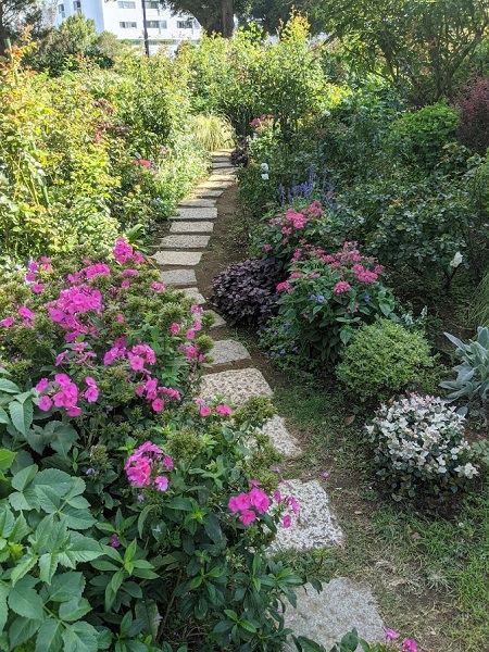 なっちゃんのにこにこブログ