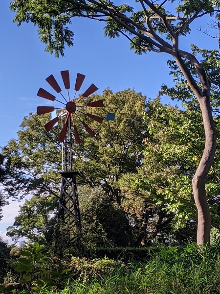 なっちゃんのにこにこブログ