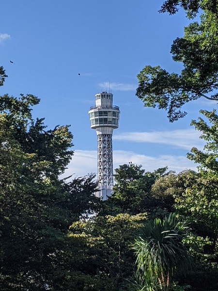 なっちゃんのにこにこブログ