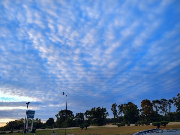 アメリカ買い付けの旅 My Favorite