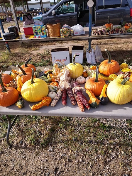 アメリカ買い付けの旅 My Favorite