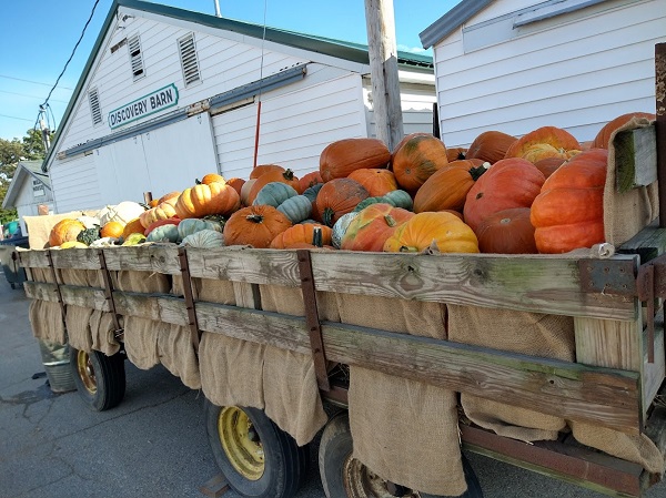 アメリカ買い付けの旅 My Favorite