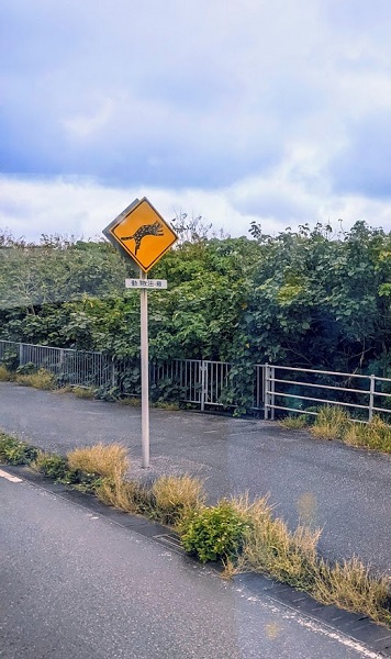 なっちゃんのにこにこブログ　西表島