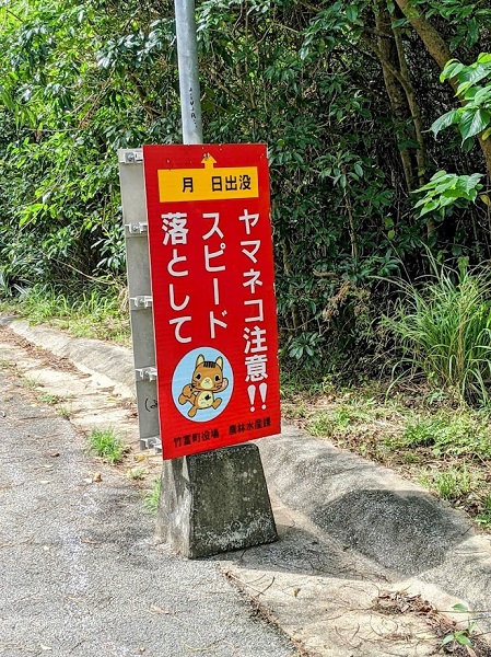 なっちゃんのにこにこブログ　西表島