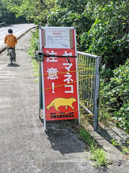 なっちゃんのにこにこブログ　西表島