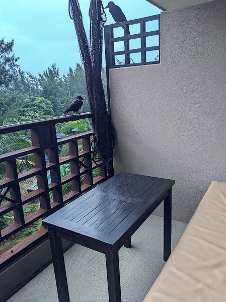 なっちゃんのにこにこブログ　西表島