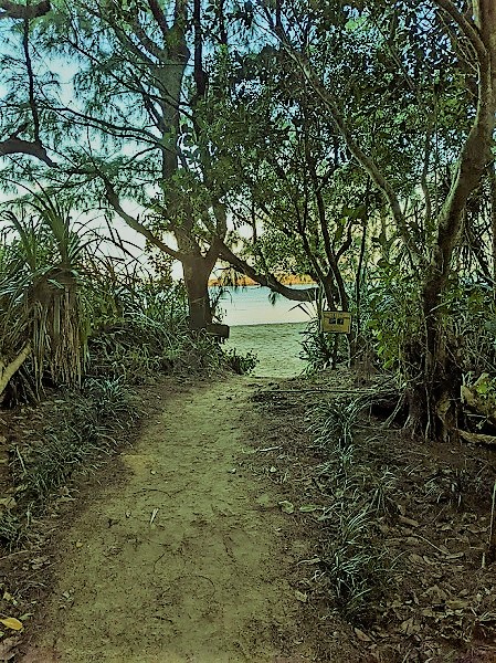 なっちゃんのにこにこブログ　西表島