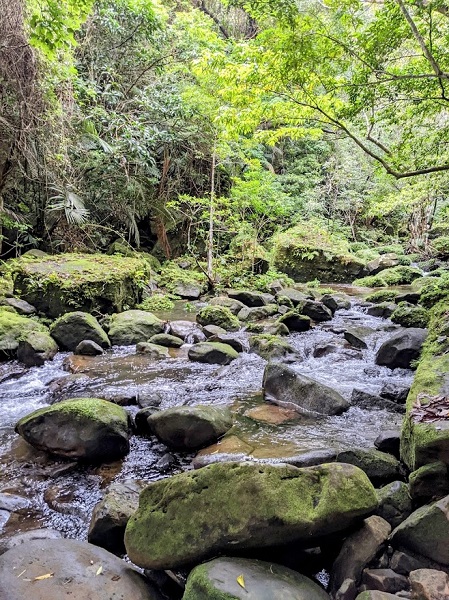 なっちゃんのにこにこブログ　西表島