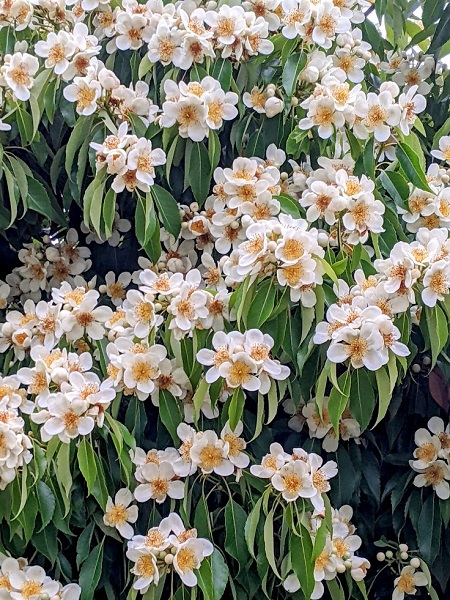 なっちゃんのにこにこブログ