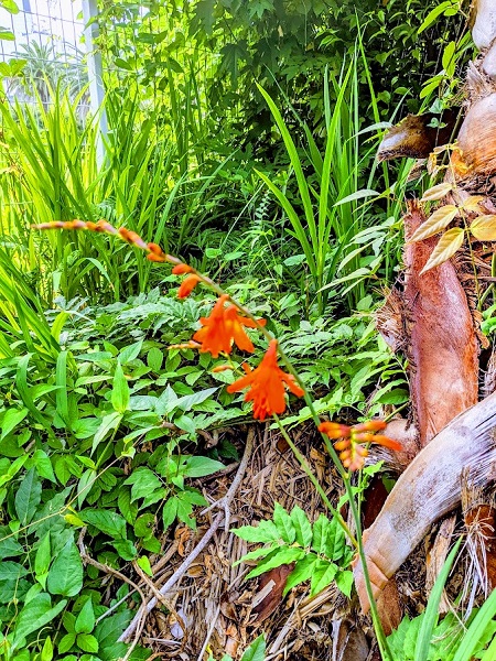 なっちゃんのにこにこブログ