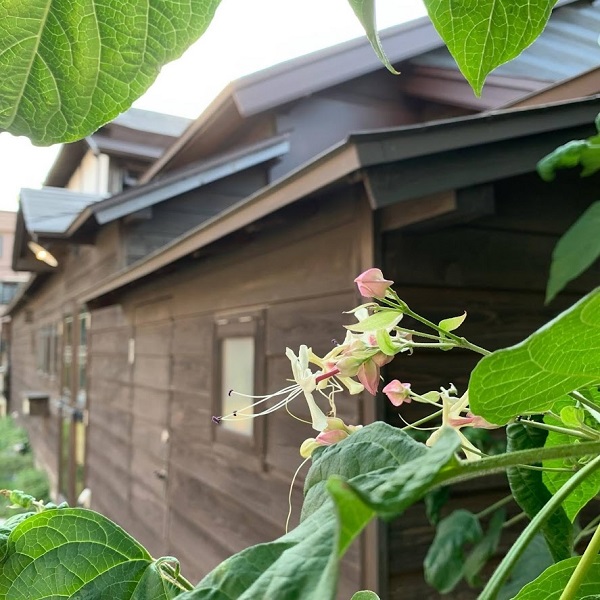 カフェミルマウンテン　12周年おめでとうございます