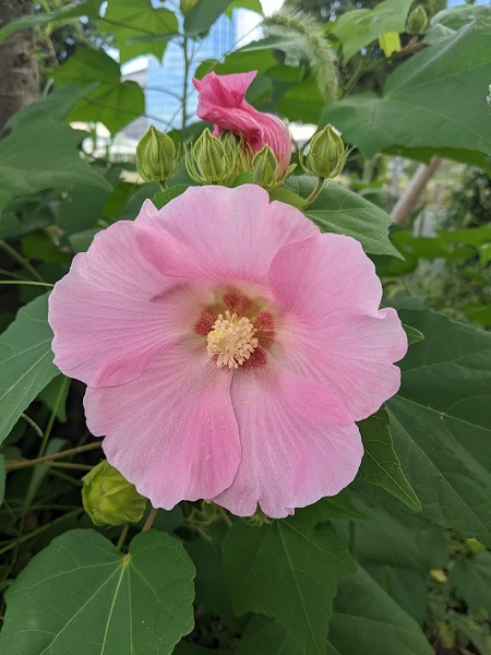 なっちゃんのにこにこブログ