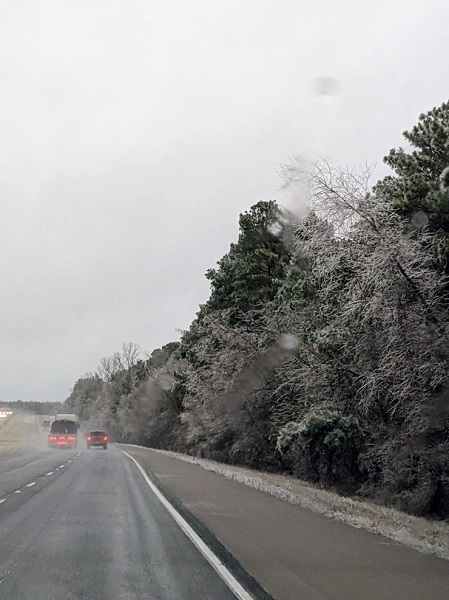 アメリカ買い付けの旅　My Favorite