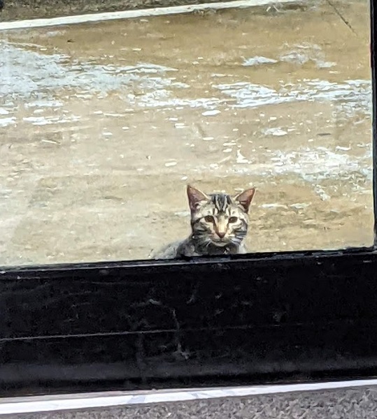 アメリカ買い付けの旅　My Favorite