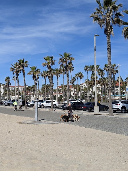 アメリカ買い付けの旅　My Favorite