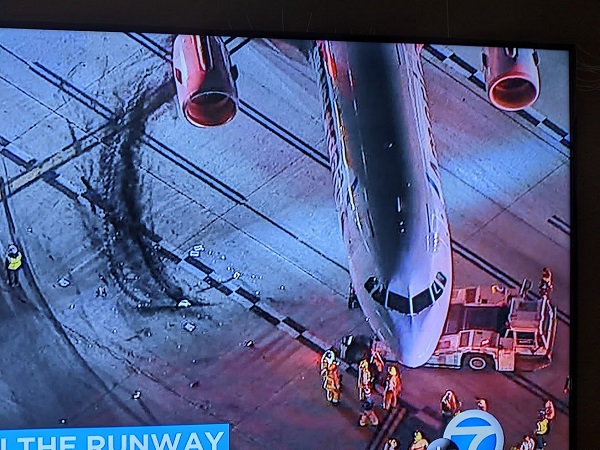 アメリカ買い付けの旅　My Favorite