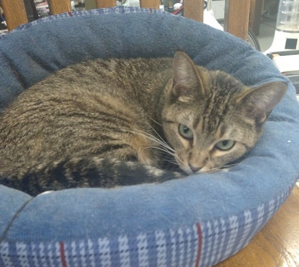 アメリカ買い付けの旅　My Favorite