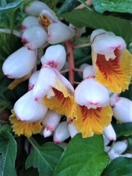 なっちゃんのにこにこブログ