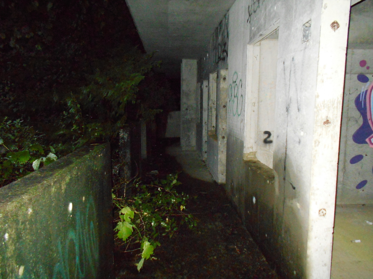 写真付き 茨城の廃墟 ブラックマンション に突入 月給13万 実家暮らしの日常 写真付き 茨城の廃墟 ブラックマンション に突入 月給13万 実家暮らしの日常