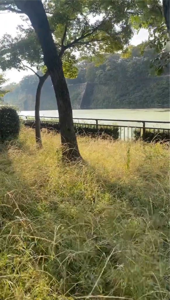 f:id:myg_owr:20231118174512j:image