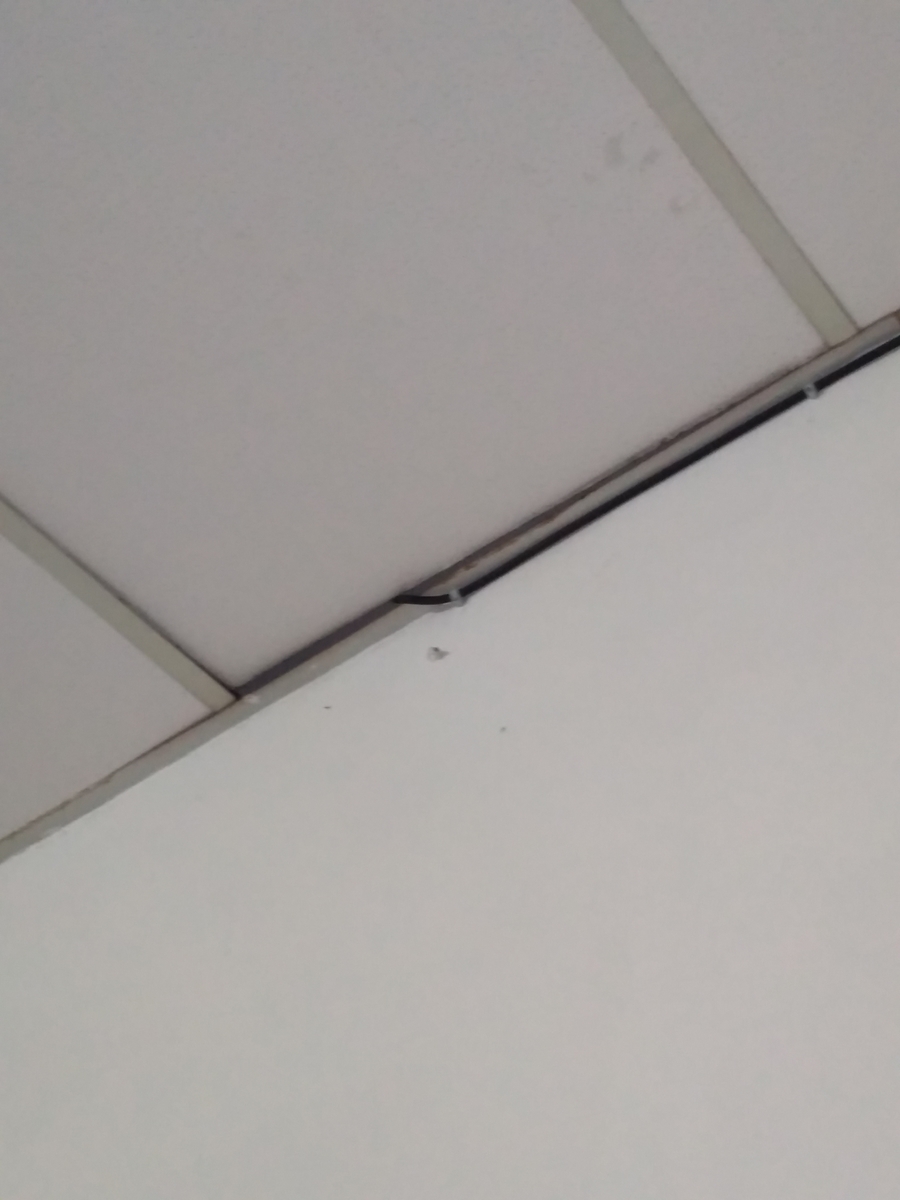 f:id:myggym:20220407001731j:plain